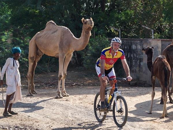 13 Days Cycling in Rajasthan - Land of Maharajas